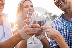 Friends raising toast with wine