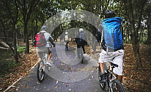 Friends ride mountain bike in the forest