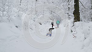 Friends with sled and dog in winter forest