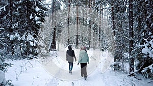Friends spend leisure time walking along winter park