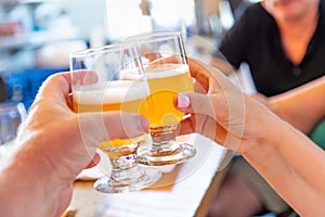 Friends Toast With Small Glasses of Micro Brew Beer at Bar
