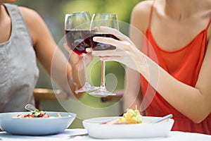 Friends toasting wine glasses in the restaurant