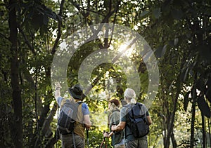 Friends trekking through forest together