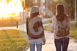 Friends walking together at sunset photo