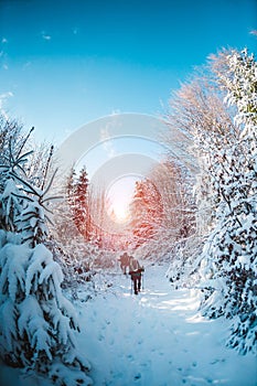 Friends in the winter trekking in the mountains