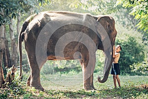 Friendship between children with elephant