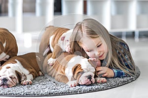 The friendship between a little girl and cute puppies of bulldog
