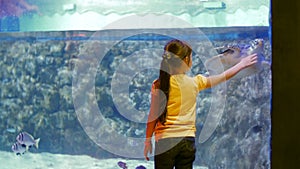 Friendship of the little girl and the tortoise. Child impressions about the underwater world and its inhabitants