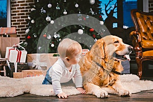 Friendship man child and dog pet. Theme Christmas New Year Winter Holidays. Baby boy on the floor decorated tree and best friend