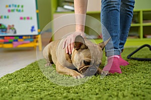 Friendship between people and animal. The girl stroked the dog