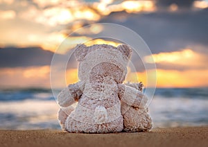 Friendship - two teddy bears