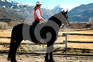 Friesian equestrienne