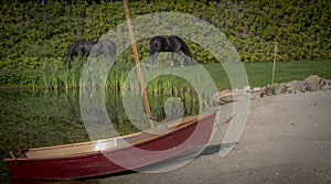 Friesian horse with boat