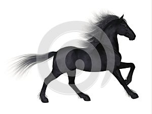 Friesian Light Draft Horse