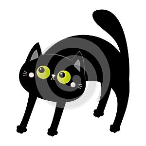 Frightened black cat arch back. Screaming kitten. Hair fur stands on end. Green eyes, fangs, moustaches whisker. Cute funny