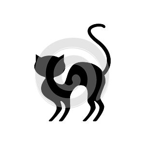 Frightened black cat silhouette. An embittered animal with raised tail rears up