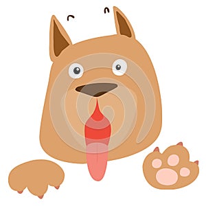 Frightened brown dog on white background