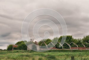 Frightening abandoned and overgrown ruins of agricultural buildings on a rural farm in the fields under a cloudy sky