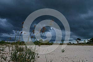 Frightening black cloud over the field