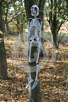 Frightening Skeleton Figure.