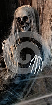Frightening skeleton with long grey hair in black robe against wooden wall in web,with boned arm lying on black burlap