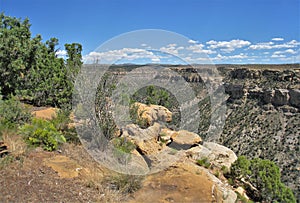 Frijoles Canyon Vista