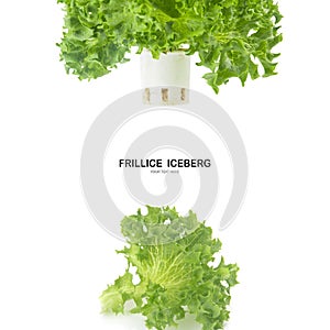 FRILLICE ICEBERG leaf salad isolated on white background.