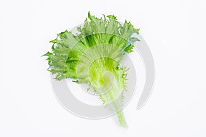 Frillice Iceberge salad vegetables.