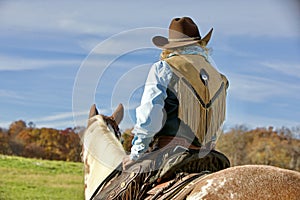 Fringes and Freedom photo