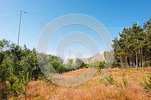 Fringilla - bird catching and ringing ornithological station