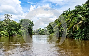 Frio River in Costa Rica jungle. photo