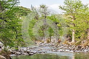 The Frio River in the Texas hill country