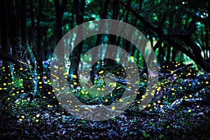 Frireflies flying in the forest at dusk.