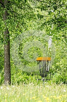 Frisbee golf basket behind blurred grass in the middle of leafy tree forest