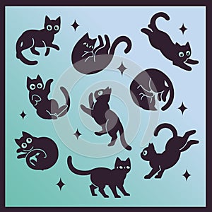 Frisky Black Cats in Different Poses photo