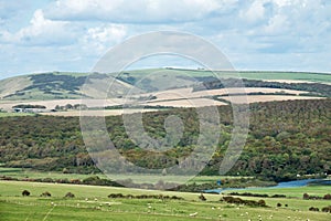 Friston Forest and Fore Down Across Cuckmere Valley in Sussex