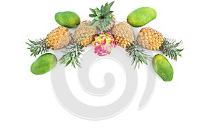 Frits composition of pineapple, mango and dragon fruits on white background. Flat lay, top view.