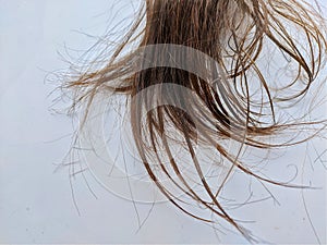 Frizzy hair on white background