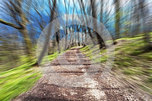 Froest road in motion blur on a sunny day, cloese