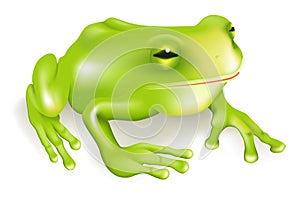 Frog