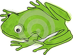 Frog