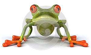 Frog