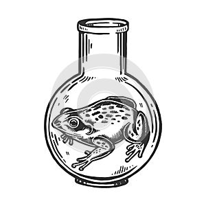 Frog animal in laboratory flask engraving vector
