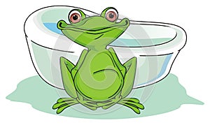 Frog and bath