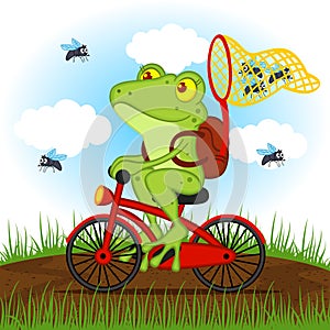 Frog on a bike catches flies