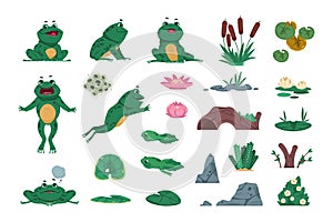 Frog. Cartoon amphibian with pond and river plants. Growth steps of life cycle. Isolated wild animals sitting or jumping