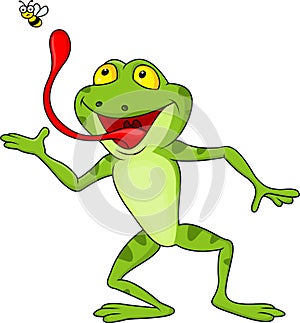 Frog cartoon with fly