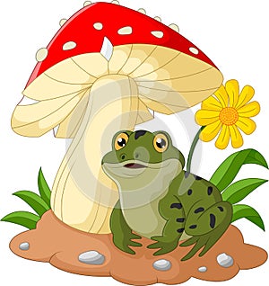 Frog cartoon sit under mushroom