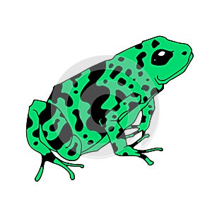 Frog cartoon tropical green animal cartoon nature icon funny and isolated mascot character wild funny forest toad