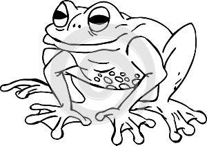 Frog Cartoon Vector Illustration